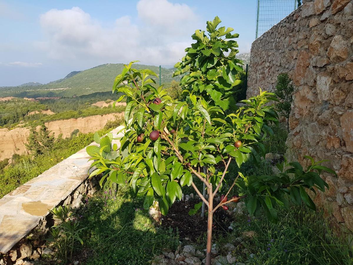 Vuno Vila Tatjanaゲストハウス エクステリア 写真